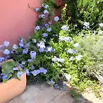 ヴィラ Charmante A Avec Piscine Privee Et Jardin アグド