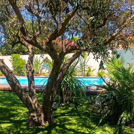 Charmante A Avec Piscine Privee Et Jardin Villa *