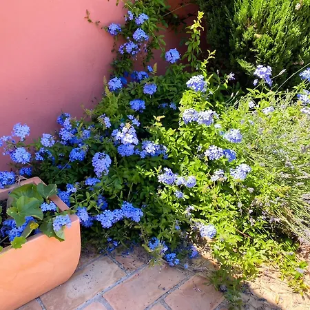 Βίλα Charmante A Avec Piscine Privee Et Jardin *